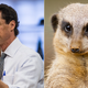 Images via Getty and Shutterstock.